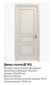 Дверь глухая ДГ №1